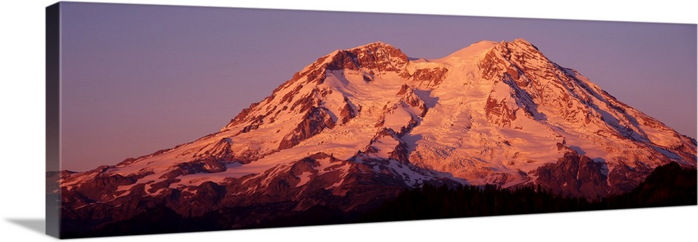 Panoramic print of Mt. Rainier bathed in warm sunlight.