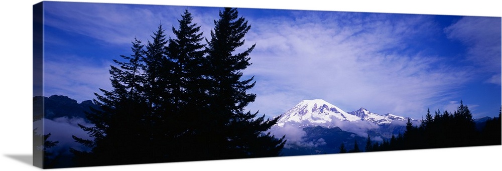 Mt Rainier WA