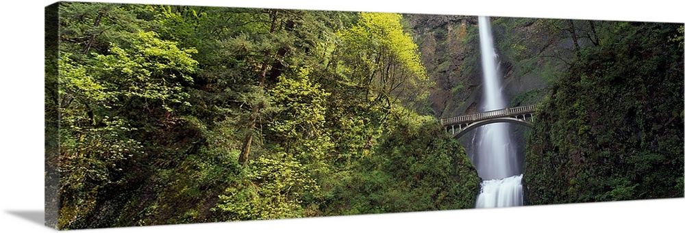 Waterfall in a forest, Multnomah Falls, Columbia River Gorge, Portland, Multnomah County, Oregon, USA