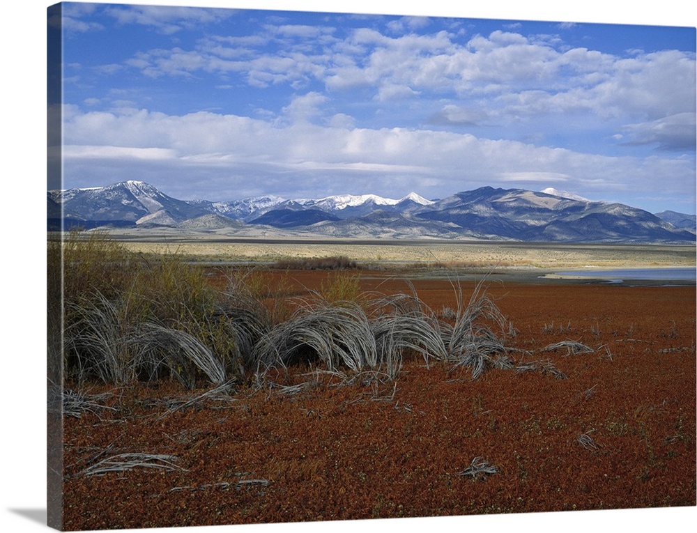 Nevada, Great Basin National Park