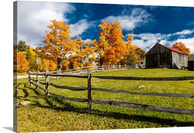 New England farm with Autumn Sugar Maples