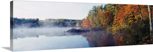 New Hampshire, White Mountains National Forest, Deciduous trees along ...