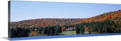 New York, Alleghany State Park, Trees along the Red House Lake