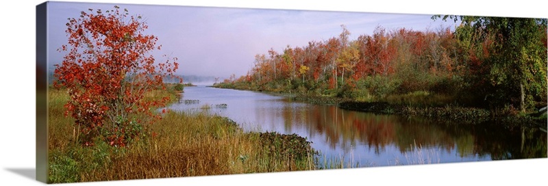 New York, Finger Lakes, Reflection of trees in a lake | Great Big Canvas