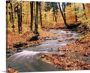 New York State, Erie County, Emery Park, Stream of water ...