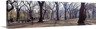 New York State, New York City, Central Park, People relaxing in the park