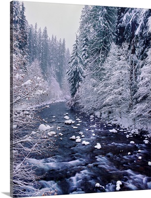 North Santiam River flowing through snow covered forest, Willamette National Forest, OR