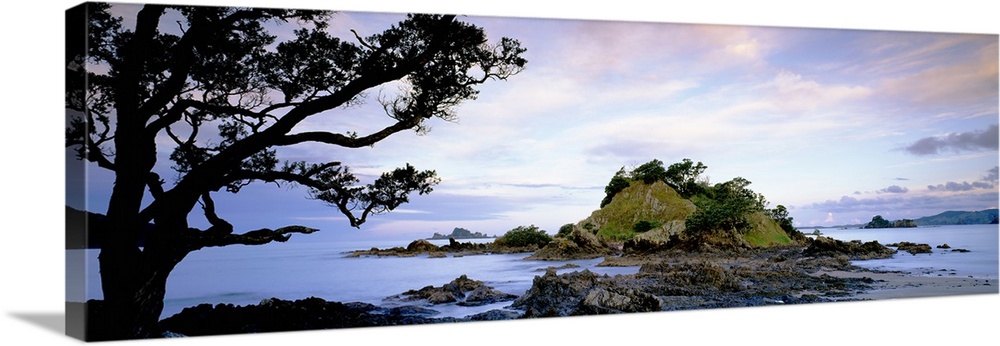 Oakura, Bay of Islands, North Island, New Zealand