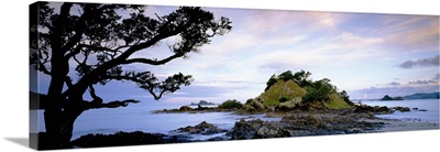 Oakura, Bay of Islands, North Island, New Zealand