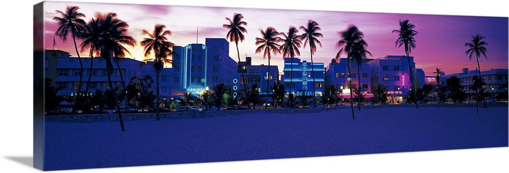 Oversized, landscape photograph of palm trees along Miami Beach, the lit buildings along Ocean Drive in the background, be...