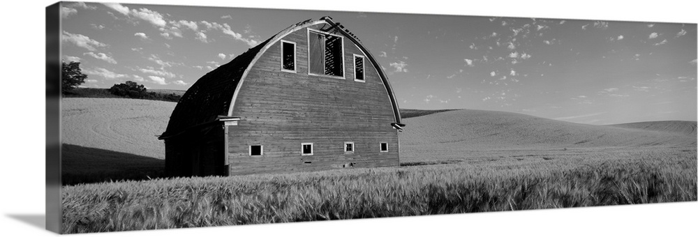 Old barn in a wheat field, Palouse, Whitman County, Washington State