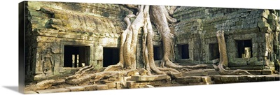 Old ruins of a building, Angkor Wat, Cambodia