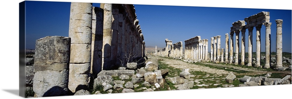 Old ruins on a landscape, Cardo Maximus, Apamea, Syria