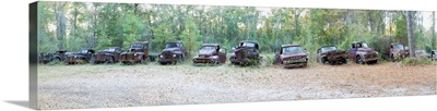 Old rusty cars and trucks in a field, Crawfordville, Wakulla County, Florida