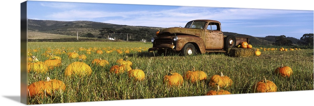 Old Rusty Truck in Pumpkin Patch, Half Moon Bay, California