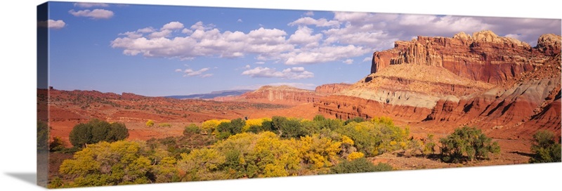 Orchards in front of sandstone cliffs, Capitol Reef National Park, Utah ...