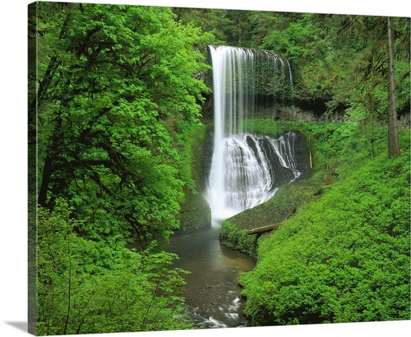 Oregon, Silver Falls State Park, Waterfall in the tropical rainforest