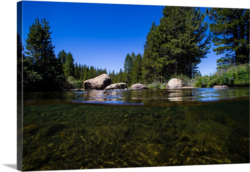 Over Under, half water half land, Reflection of trees in a river, Walker River, Eastern Sierra, Sierra Nevada, California,...