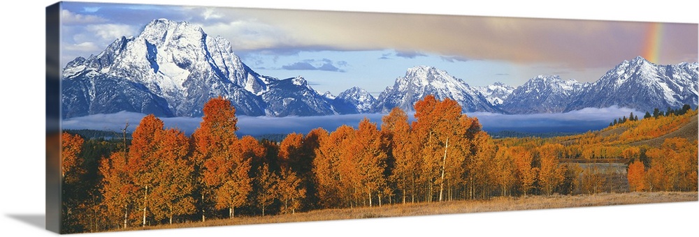 Autumn trees with mountain range in the background, Oxbow Bend, Teton Range, Grand Teton National Park, Wyoming, USA