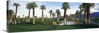 Palm Springs Golf Course CA