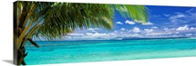 Palm Canvas Art Prints | Palm Panoramic Photos, Posters, & More | Great ...