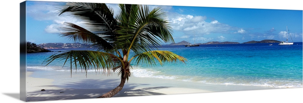 Panoramic photo on canvas of a big palm tree sticking out onto the ocean shore with a sail boat and mountains in the dista...
