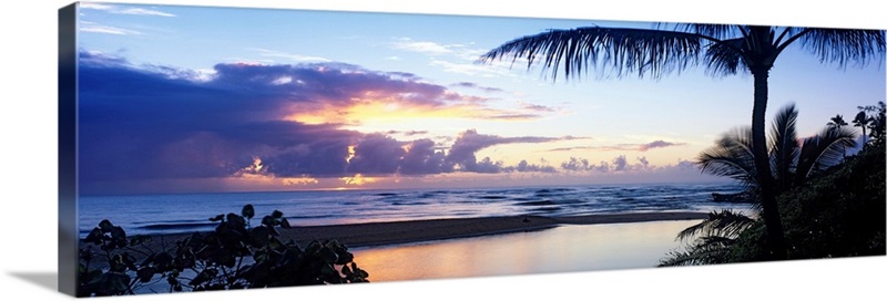 Palm tree on the beach, Wailua Bay, Kauai, Hawaii | Great Big Canvas