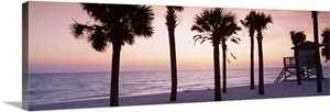 Palm trees and a lifeguard hut on the beach, Gulf Of Mexico, Lido Beach, St Armands Key, Florida image thumbnail