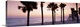 image thumbnail of Panoramic photograph taken of palm trees on a beach with the sun just setting below the ocean horizon in the distance.