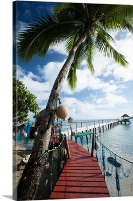 Palm Trees and dock, Bora Bora, Society Islands, French Polynesia