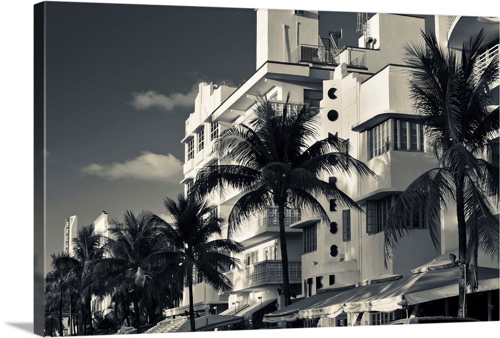 Palm trees in front of art deco hotels, ocean drive, south beach, miami beach, miami-dade county, florida, USA.