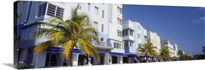Palm trees in front of buildings, Art Deco Hotel, Ocean Drive, Miami Beach, Florida