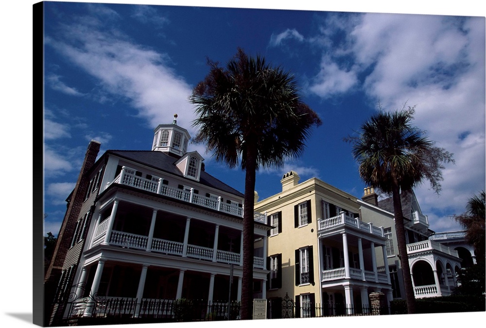 Palm trees in front of buildings, Charleston, Charleston County, South Carolina,