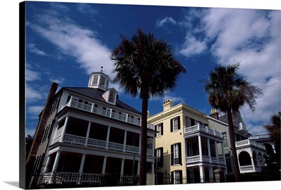 Palm trees in front of buildings, Charleston, Charleston County, South Carolina,