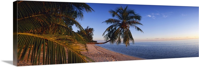 Palm Trees Matira Beach Bora Bora Wall Art, Canvas Prints, Framed ...