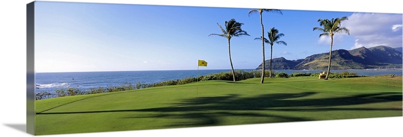 Palm trees on a golf course at the seaside, Kiele Course, Number 13 ...