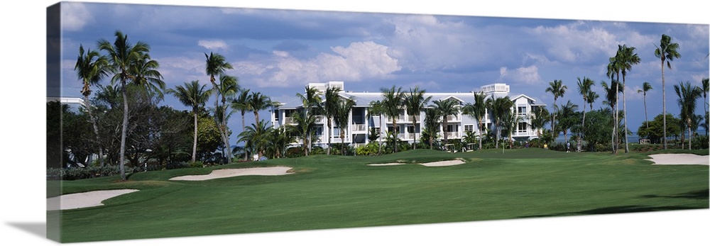 Palm trees on a golf course, South Seas Plantation, Captiva Island, Florida