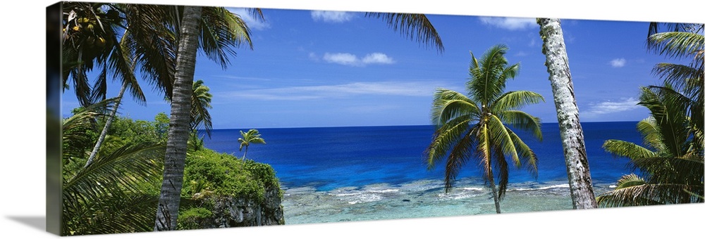 Giant, panoramic photograph of palm trees on the beach of Nive Island, in front of the deep blue waters of the South Pacific.