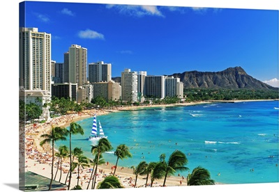 Palm trees on the beach, Diamond Head, Waikiki Beach, Oahu, Honolulu, Hawaii
