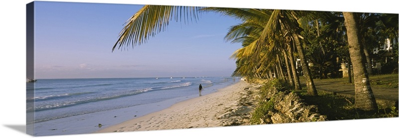 Palm trees on the beach, Diani Beach, Mombasa, Kenya Wall Art, Canvas ...