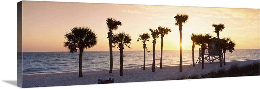 A large panoramic piece of palm trees on the beach with a lifeguard house in front of them. The ocean and a setting sun ca...