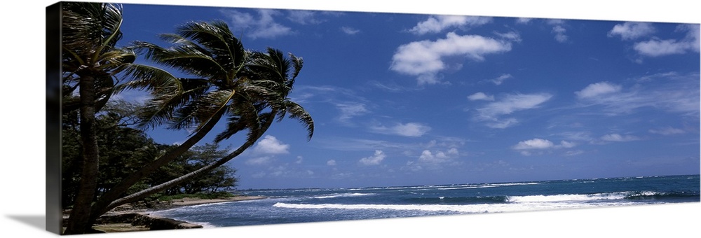 Vista of a mostly clear sky over the Pacific Ocean, with waves headed towards the palm trees hanging over the shoreline.
