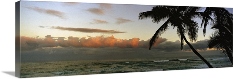 Palm trees on the beach, Hawaii, | Great Big Canvas