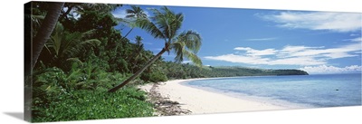 Palm trees on the beach, Nananu-i Ra Island, Fiji