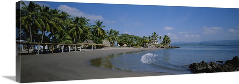 Palm trees on the beach, San Blas, Mexico Wall Art, Canvas Prints ...