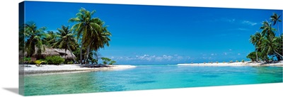 Palm trees on the beach, Tikehau, French Polynesia