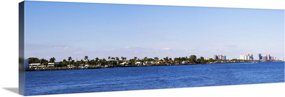 Palm trees on the beach, West Palm Beach, Florida