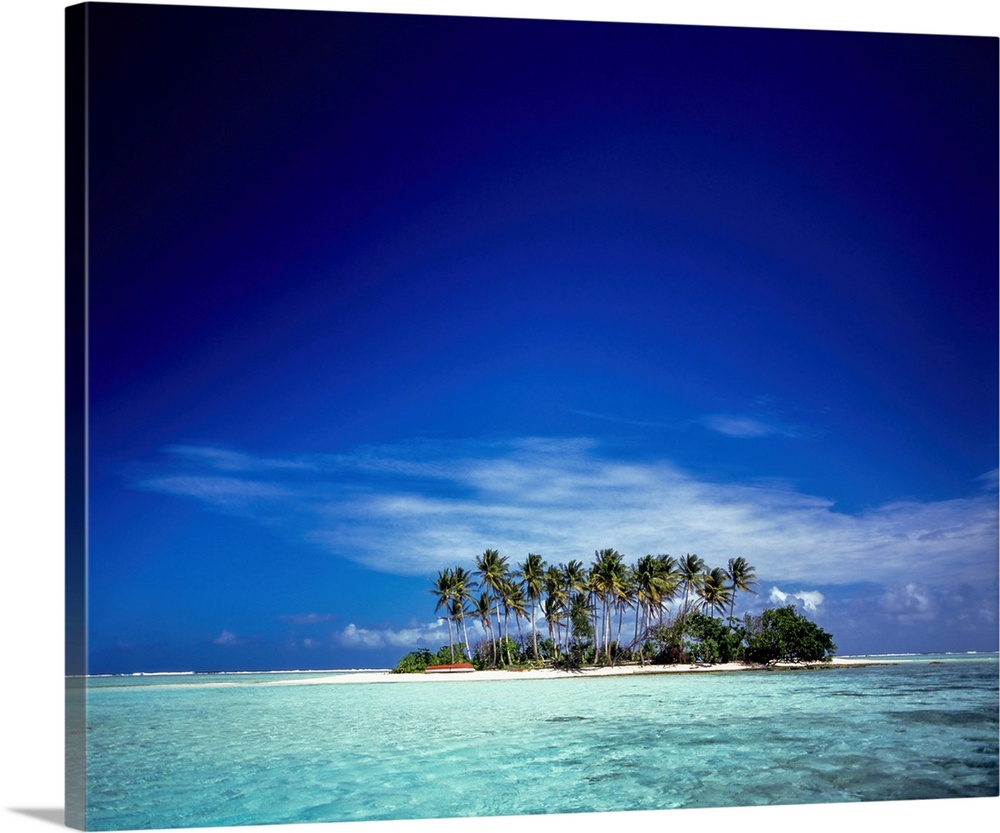 Palm Trees, Truk Island, Chuuk Lagoon, Micronesia