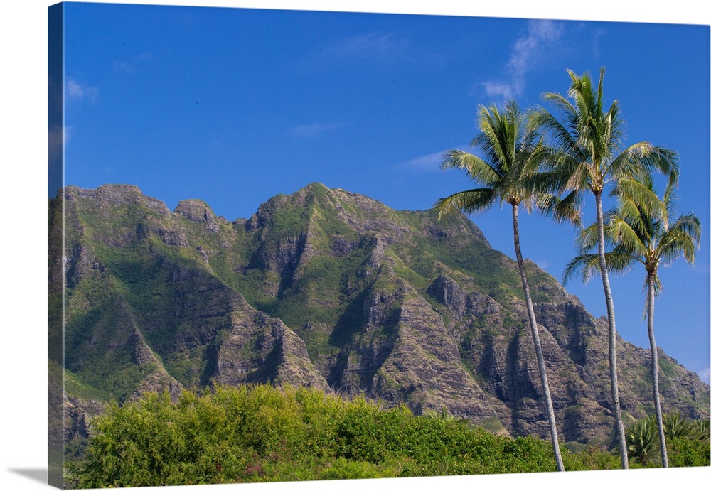 Palm trees with mountain range in the background, Tahiti, French Polynesia