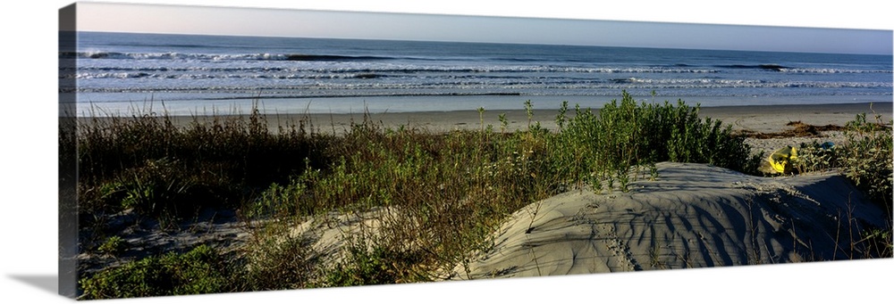 Panoramic photograph taken from behind the dunes on a beach showing small waves in the ocean about to crash onto the sand.